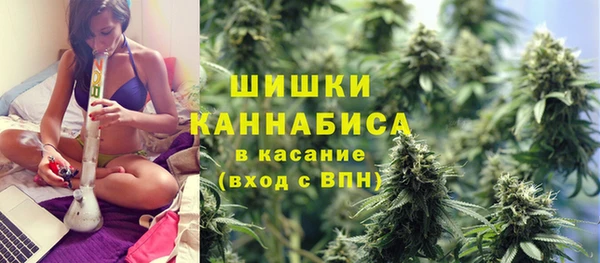 тгк Арсеньев